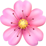 Flor de cerejeira
